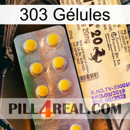 303 Gélules new06